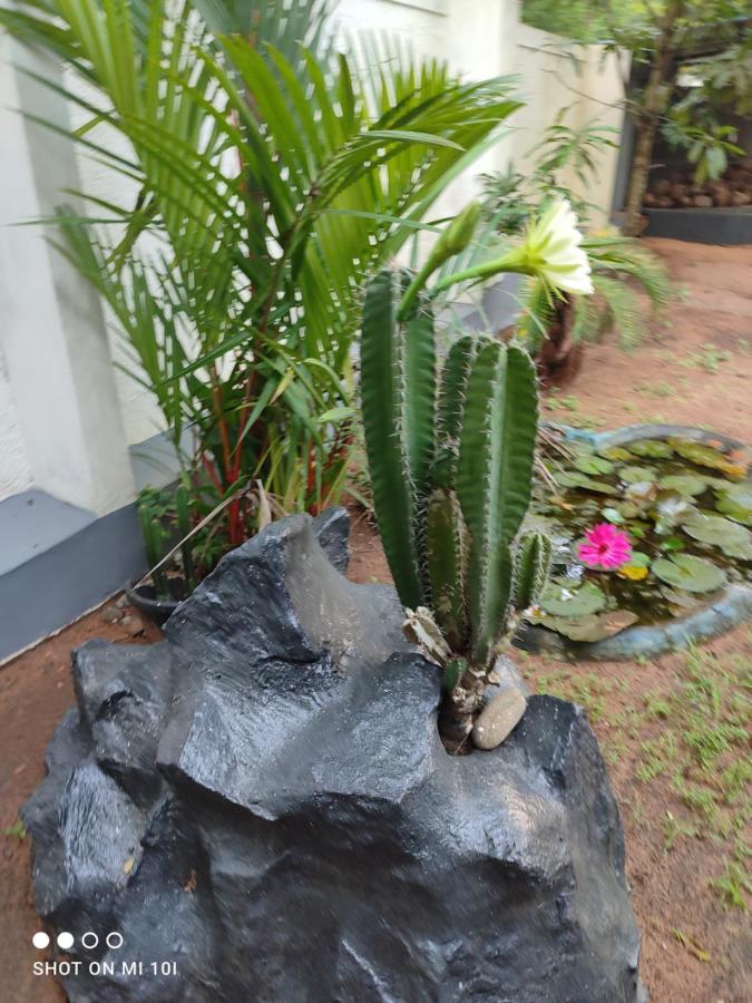 Thanniyam Vyshnavi Home Stay מראה חיצוני תמונה